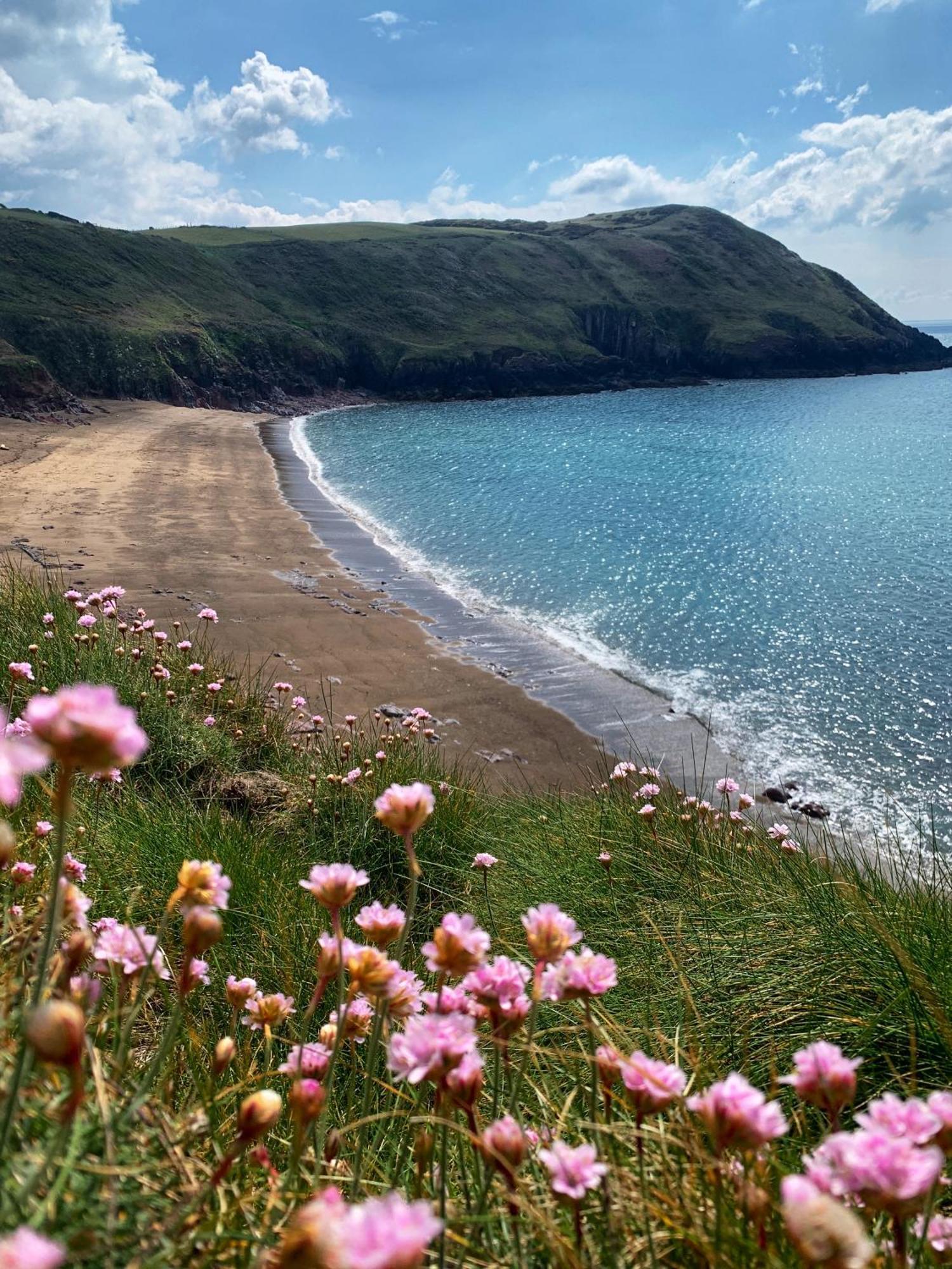 Beach Woods Coastal Path Chalet Villa Hodgeston Dış mekan fotoğraf